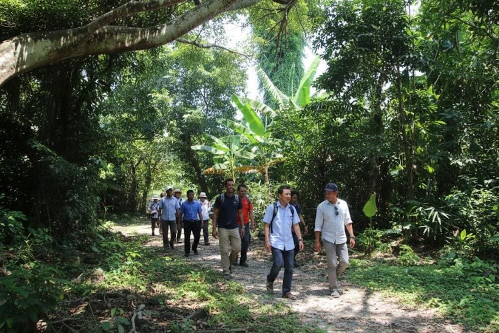 Rừng nguy&ecirc;n sinh đảo Cồn Cỏ